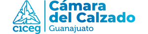 Cámara de la Industria del Calzado del Estado de Guanajuato CICEG
