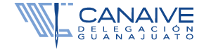 CANAIVE Guanajauto